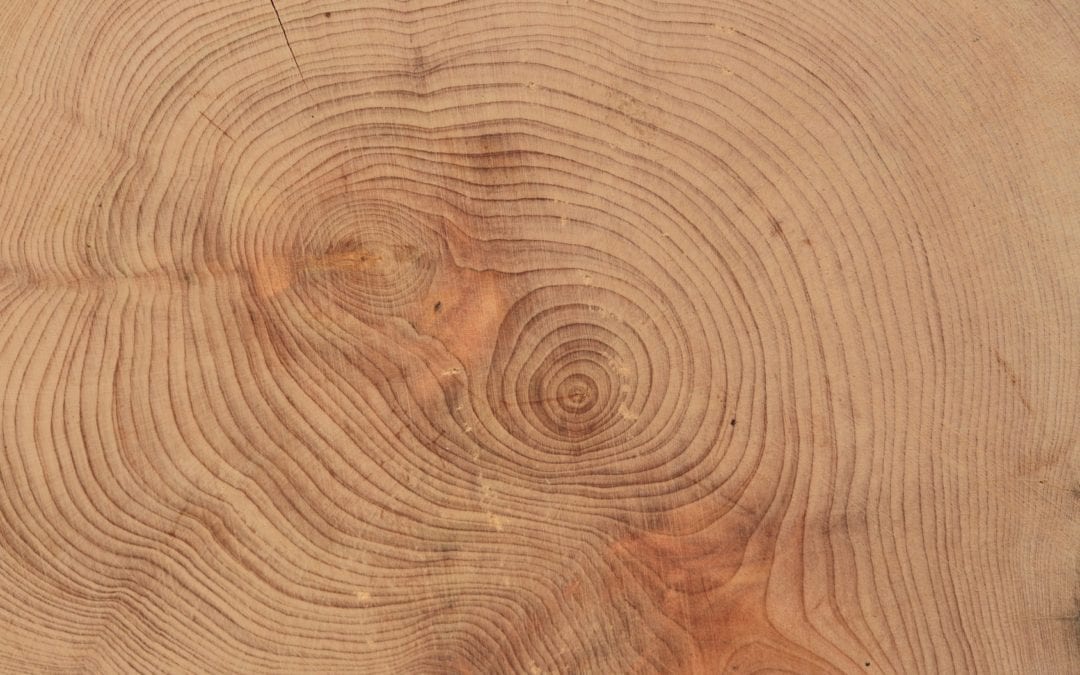 Vill Energi er med på å utvikle sirkulære tredekker!